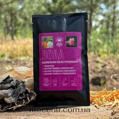 Коктейль BCAA Лесовик для восстановления после тренировки 40 г
