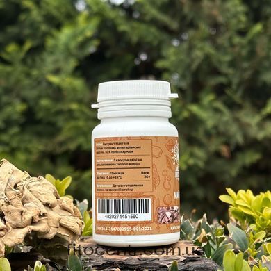 Extract maitake Lisovyk 10: 1 60 capsules