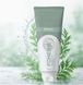 Трав'яна зубна паста з полином Artemisia Annua 120 г FOHERB - 3