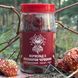 Gummies fly agaric with flavor currant gummies Lisovyk 120 tablets