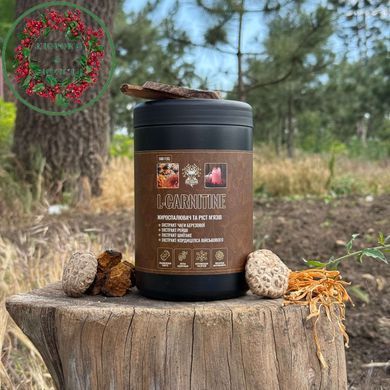 L-CARNITINE коктейль (Жироспалювач та ріст мязів) 500 г Лісовик