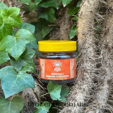 Gummies with lion's mane crested with flavor orange Lisovyk 60 tablets