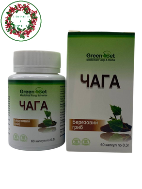 БАД Чага березовый гриб 60 капсул GreenSet - 2