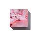 Hillary Parfumed Oil Bars Flowers Solid Perfumed Body Cream, 65 g