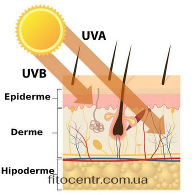 Сонцезахисний крем для обличчя SPF 30 + Hillary, 40 мл - 9