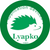 Аплікатори Ляпко