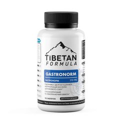 Биодобавка Гастронорм для работы ЖКТ 90 таблеток Тибетская формула - 1