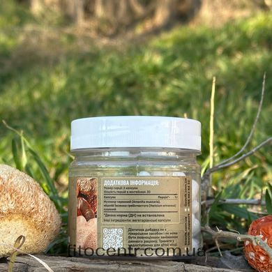 Микс мицелия Ежовика с красным мухомором Лесовик 60 капсул