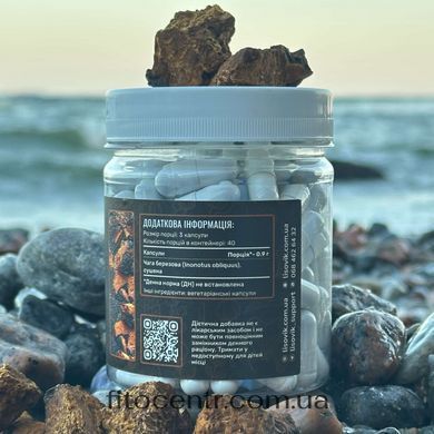 Birch chaga Lisovyk 120 capsules