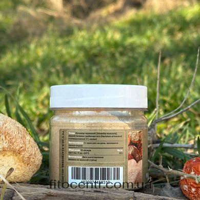 Микс мицелия Ежовика с красным мухомором Лесовик молотый 50 г