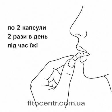 Chitosan Хитозан сорбент New Life 60 капсул - 4