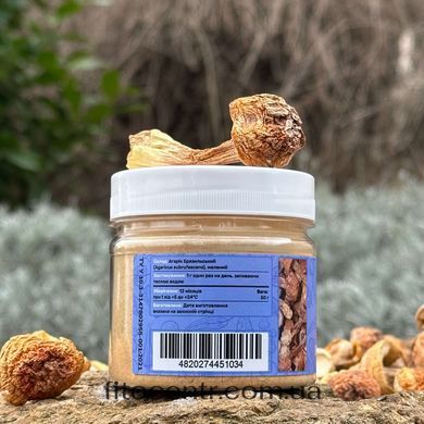 Agaricus blazei Lisovyk ground fruiting bodies 50 g