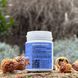 Agaricus blazei Lisovyk 60 tablets