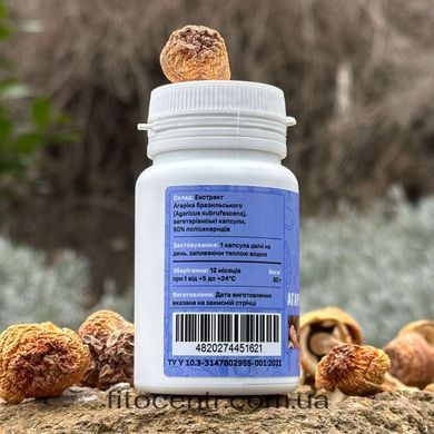 Extract agaricus blazei Lisovyk 10: 1 60 capsules