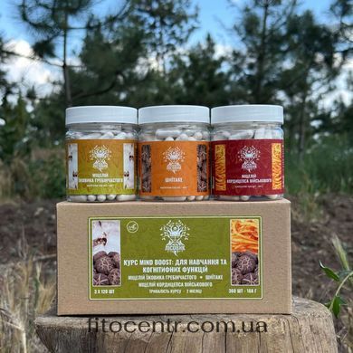 Курс Mind Boost v 2 Лесовик для обучения и когнитивных функций на 2 месяца 360 таблеток