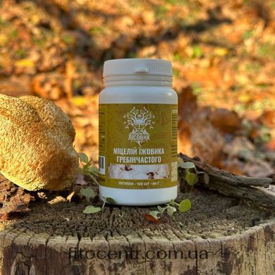Lion's mane mycelium Lisovyk 120 tablets