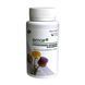 Fitor with milk thistle artichoke and oduvanchikom Fitoria 90 capsules