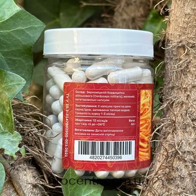Mycelium cordyceps militaris Lisovyk 120 capsules