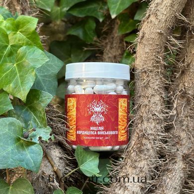 Mycelium cordyceps militaris Lisovyk 120 capsules