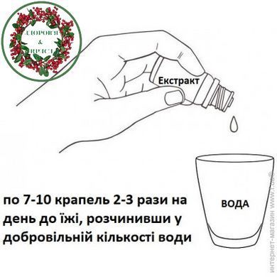 Екстракт лопуха 100 мл New Life - 2
