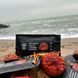 Батончик енергетичний із червоним мухомором 30 г Лісовик