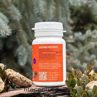 Extract shiitake Lisovyk 10: 1 60 capsules