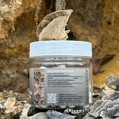 Mycelium trametes raznotsvetnogo Lisovyk 60 capsules