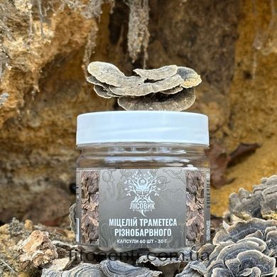 Mycelium trametes raznotsvetnogo Lisovyk 60 capsules