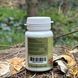 Mushroom extract stinkhorn mushroom obyknovennoi Lisovyk 120 tablets
