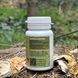 Mushroom extract stinkhorn mushroom obyknovennoi Lisovyk 120 tablets