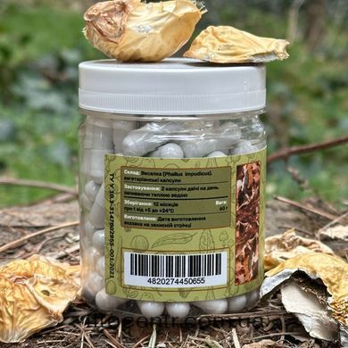Mushroom extract stinkhorn mushroom obyknovennoi Lisovyk 120 capsules