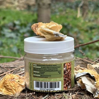 Stinkhorn mushroom obychnaia Lisovyk ground fruiting bodies 50 g