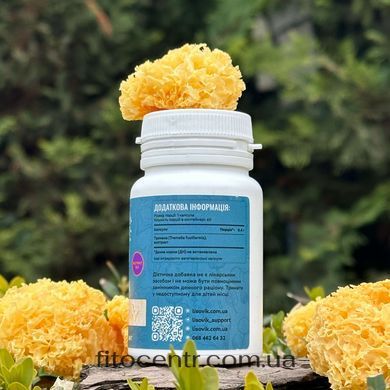 Mushroom extract tremella Lisovyk 10: 1 60 capsules