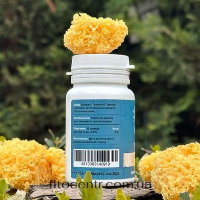 Mushroom extract tremella Lisovyk 10: 1 60 capsules