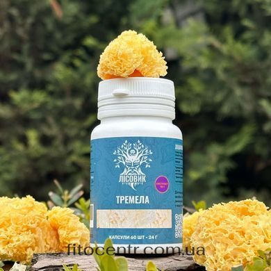 Mushroom extract tremella Lisovyk 10: 1 60 capsules