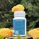 Mushroom extract tremella Lisovyk 10: 1 60 capsules