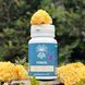 Mushroom extract tremella Lisovyk 10: 1 60 capsules