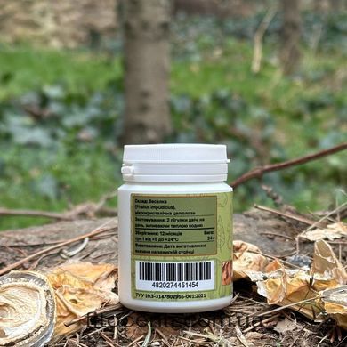 Mushroom extract stinkhorn mushroom obyknovennoi Lisovyk 60 tablets