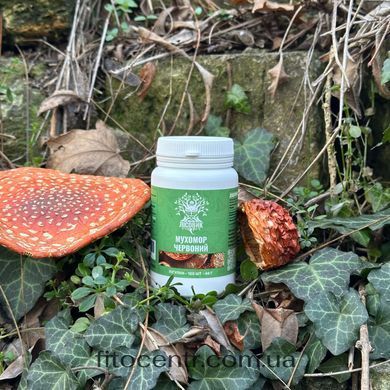Red fly agaric Lisovyk 120 tablets