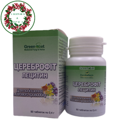 Цереброфит с лецитином 90 таблеток GreenSet - 2