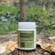 Mushroom extract stinkhorn mushroom obyknovennoi Lisovyk 60 tablets