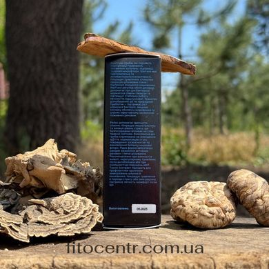 Комплекс рідких екстрактів Gastro Лісовик для травлення 30 мл