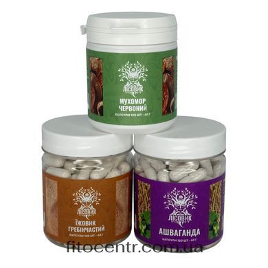 Course anti-stress for uverennosti and calm Lisovyk 2-month course 360 tablets