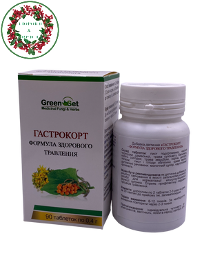 Гастрокорт здоровий шлунок 90 таблеток GreenSet - 2