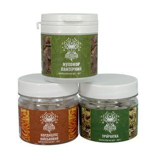 Курс Детокс перезагрузка тела и ума (1 месяц) Лесовик