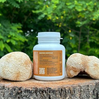Extract lion's mane crested Lisovyk 120 capsules