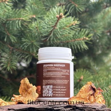 Mushroom chanterelle mushroom Lisovyk 60 tablets