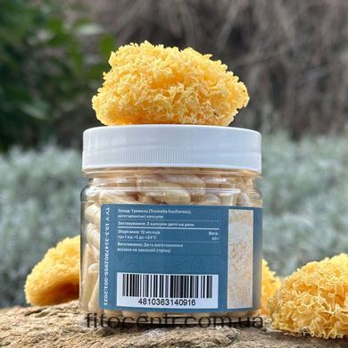 Тремелла Tremella fuciformis Лесовик 120 капсул