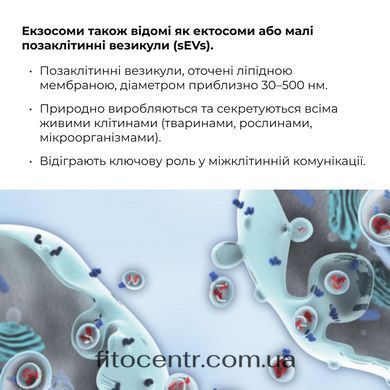 Антигравітаційна моделююча сироватка для обличчя та шиї Hillary, 30 мл - 9