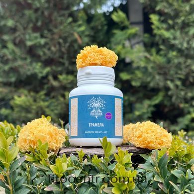 Mushroom extract tremella Lisovyk 10: 1 120 capsules